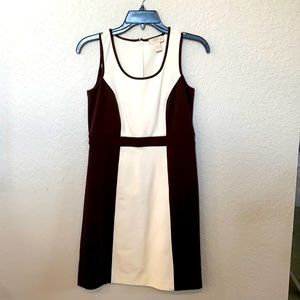 Brown & Cream Dress from Ann Taylor LOFT